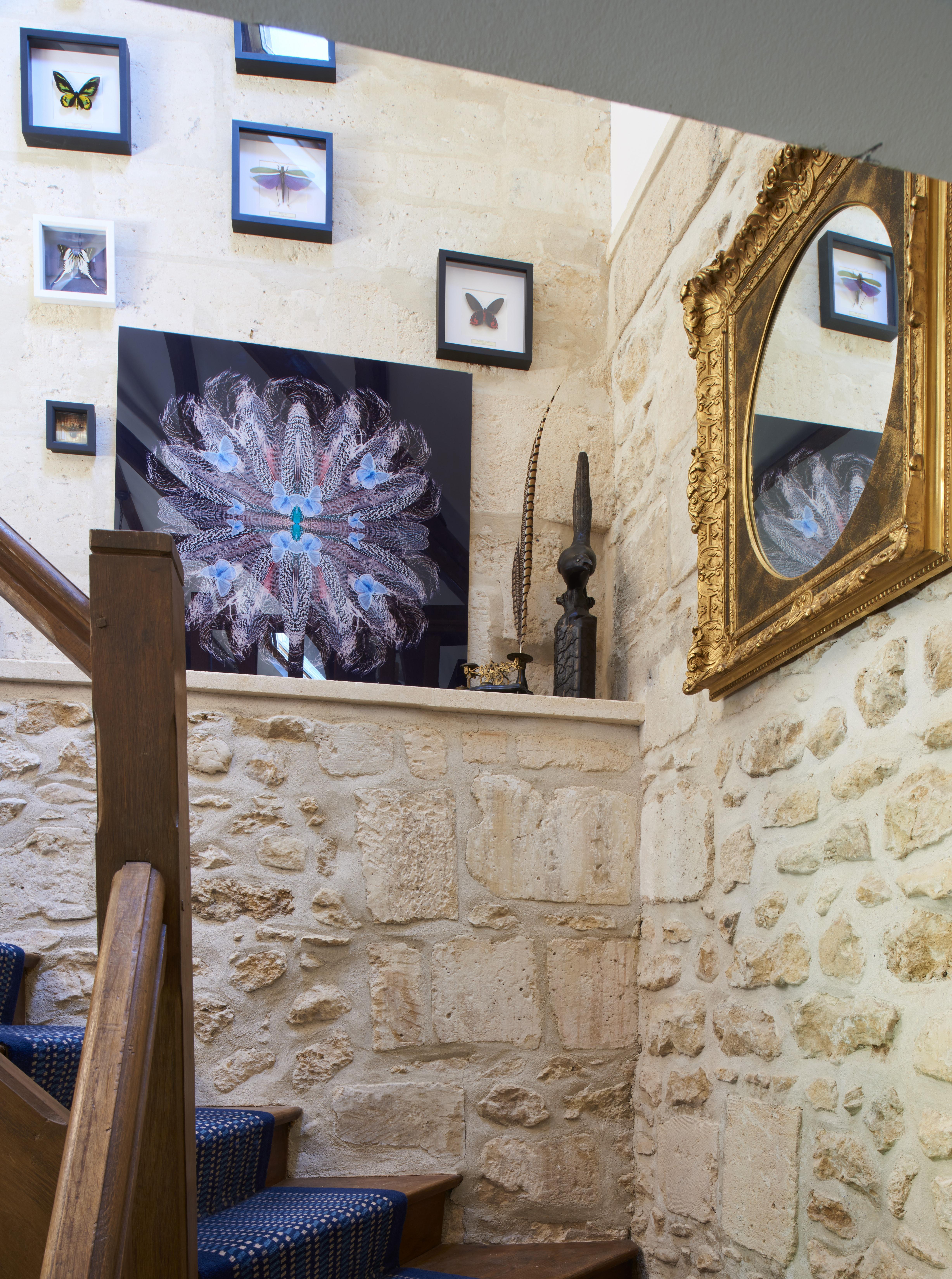 Moulin Royale Bed & Breakfast Saint-Etienne-Roilaye Exterior photo